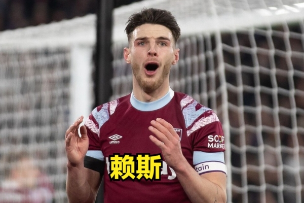 賴斯屬于什么是類型的后腰？